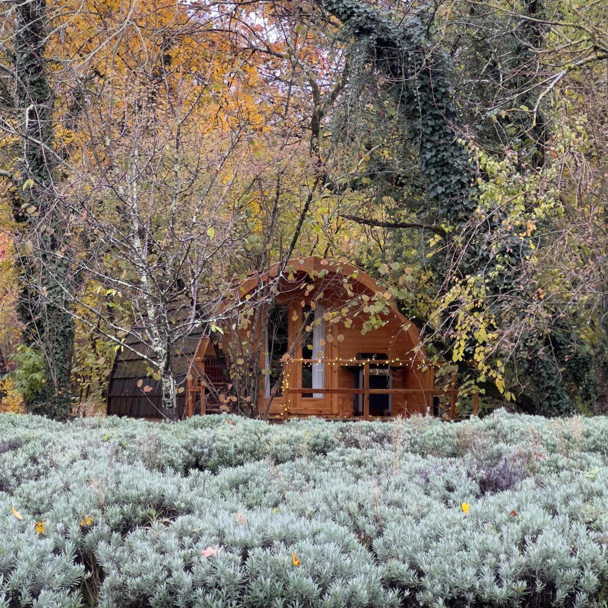 Glamping Dragonja River Šmarje Exterior foto